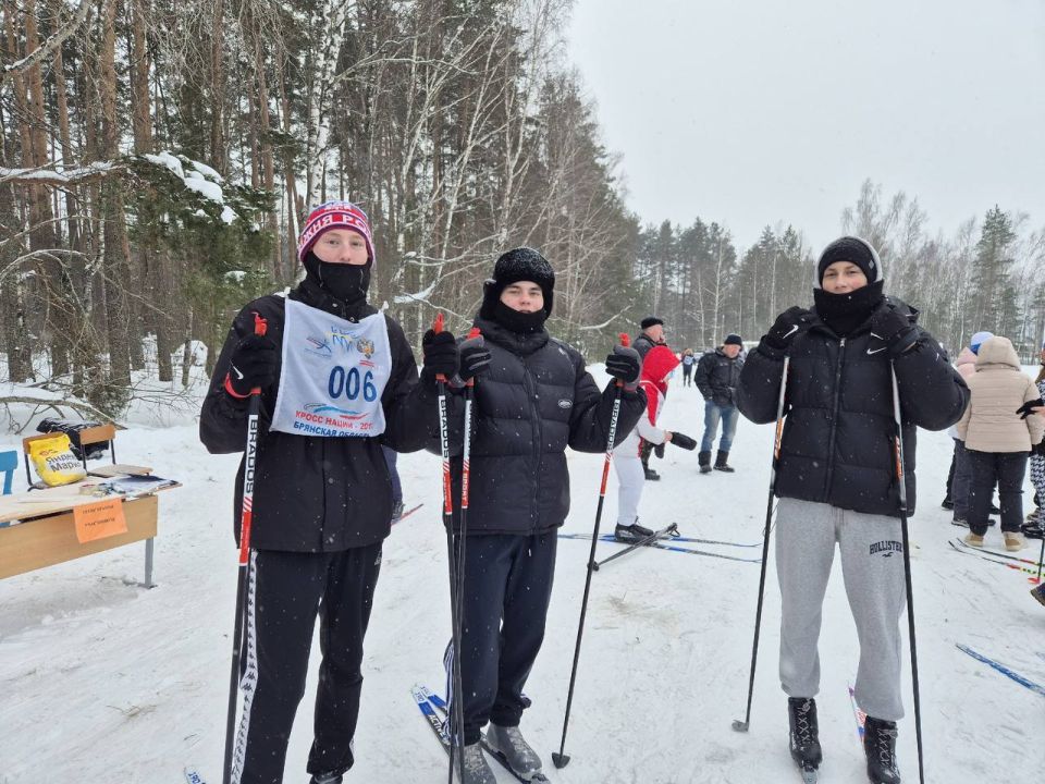 � ����������� ������ ������ �������� ������ �����