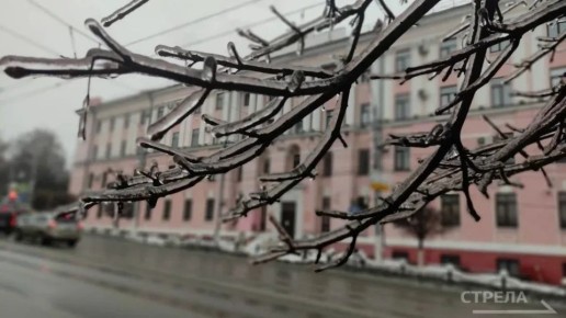 ������, 13 �������, � �������� ������� ����� ����������� �������� ������