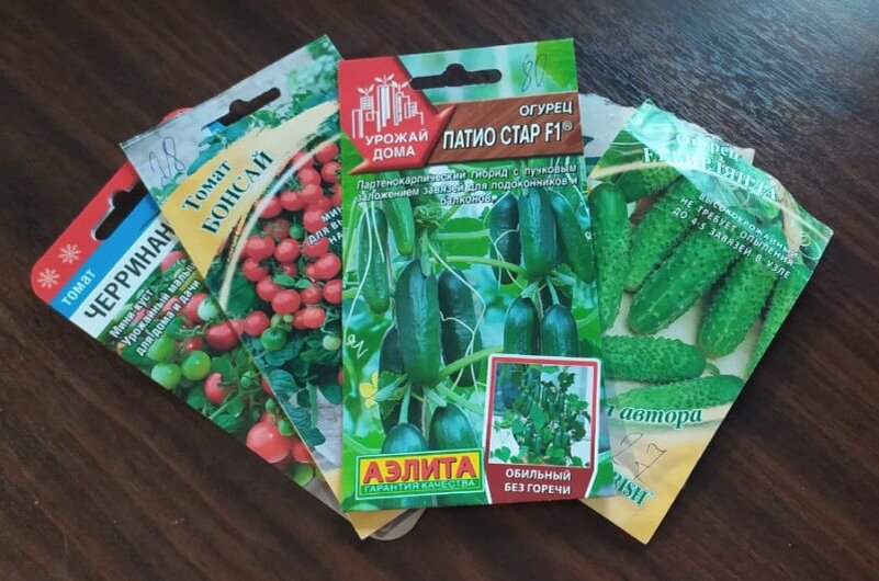 Зимний огород: какие овощи стоит сеять в декабре для домашнего урожая