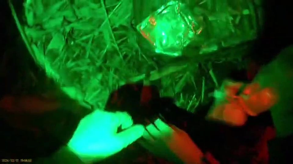 ����� ��� ������� �������� ��� ���������� ������������ ����������������� ������ (����� ������), ������� ������ �� �������� ��������� ������� ����������� �����