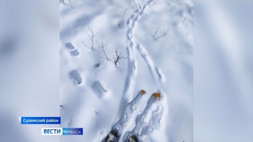 � ����������� "�������� ���" ������� ��������� ������ ���� ������