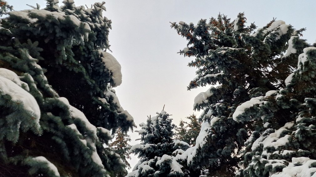 Брянцам пообещали мокрый снег и перепады температуры в воскресенье