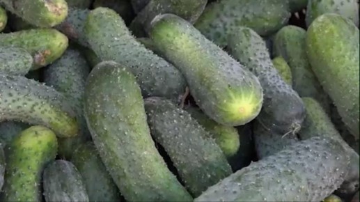 �������� ����� � ����� �������� � ������ �������� �������� � ������