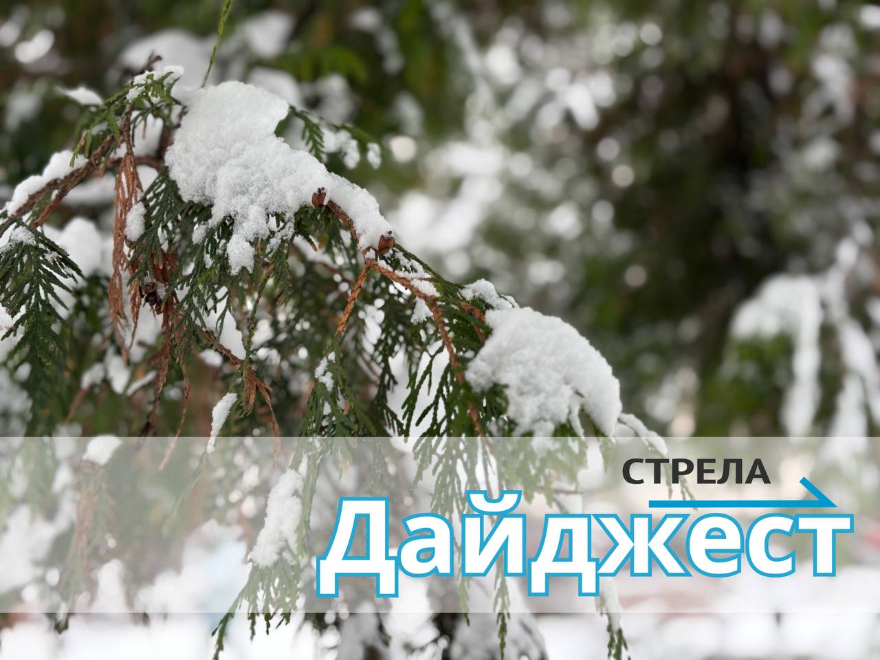 за 14 февраля. В Брянской области в 21-й раз провели «Лыжню России» - за 14 февраля. В Брянской области в 21-й раз провели «Лыжню России» -