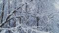 Брянцев предупредили о 15-градусных морозах в воскресенье