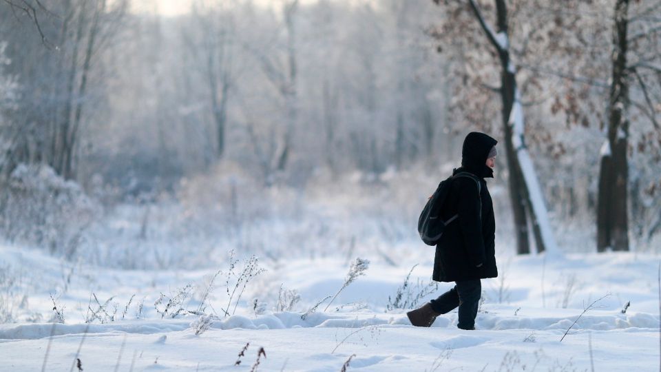 � �������� ������� 17 ������� �������� ����������� ��������� �� -20C