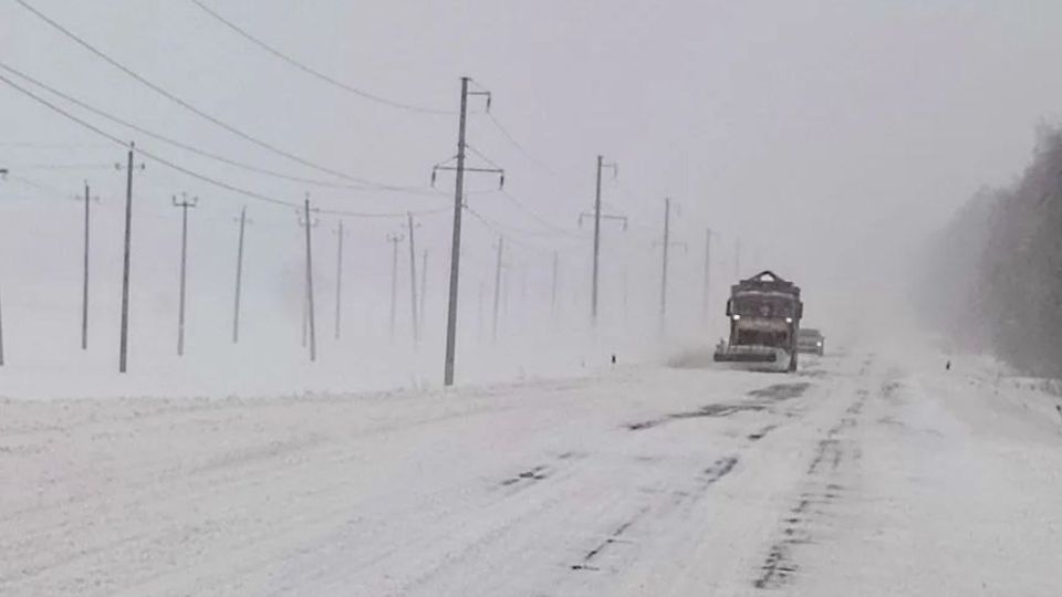 � �������� ������� �� ����� �������� �� ����� ����� 10,4 ���