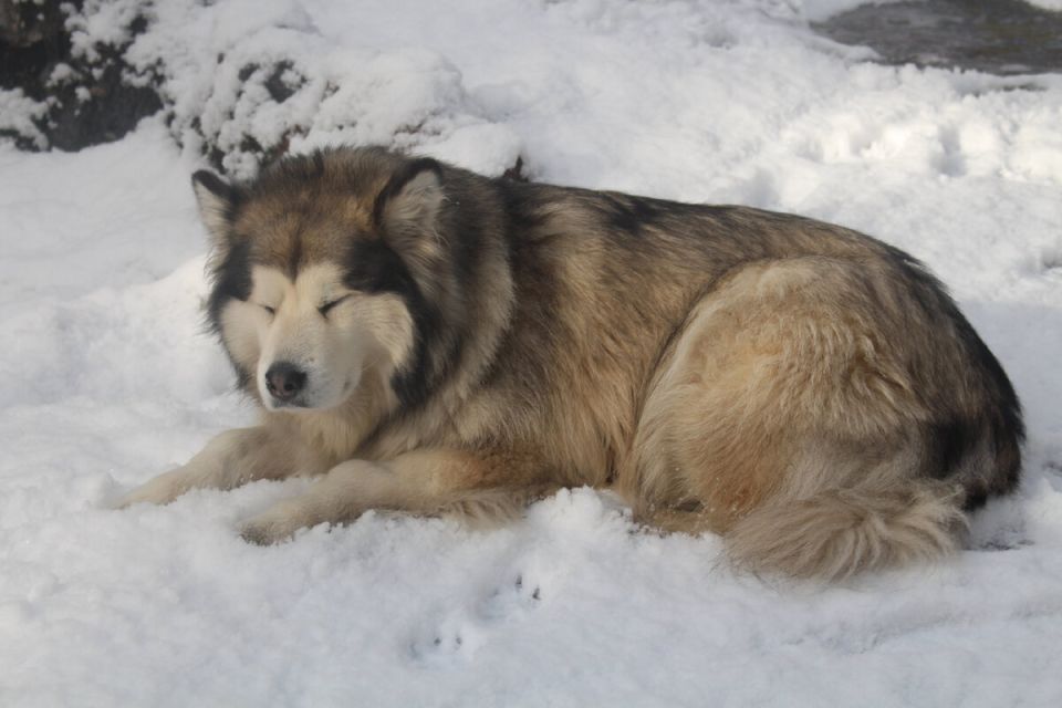 ��� ������� ��� � ������: 5 ������� ��������, ������� ������ ������� (� ���� �������� ������)