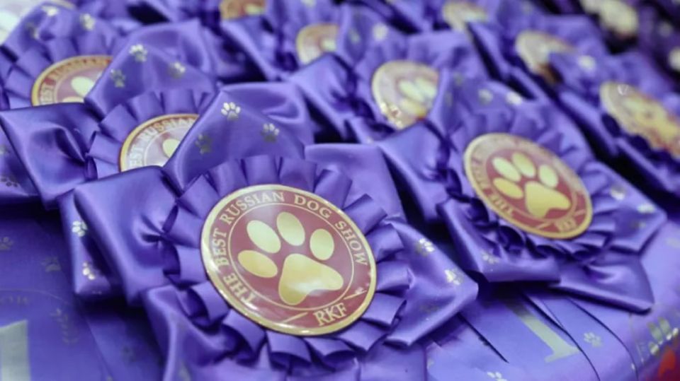 � ������ ������ ��������� ������������� ��������� ������� ������ ������-2025�