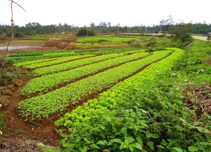 ��� ����������� ���� �������� ������ �������