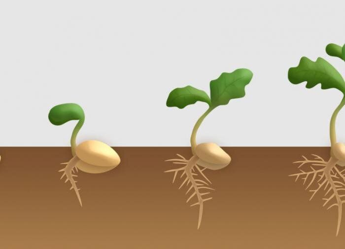 ������ �� ����� �������� ������ ����� ����� �������