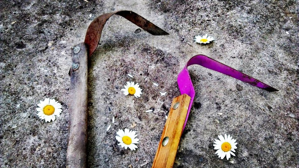 ���������: ��� � ��������� �������� � ���� ������������ ������ � ��� �� ����� ����������