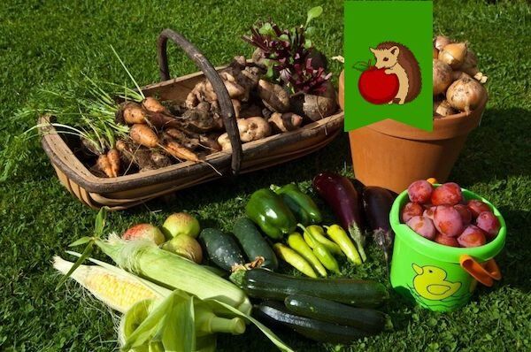 ��� ������ ������� ������������� ������: �������� ��� ���� ������� �� ���������