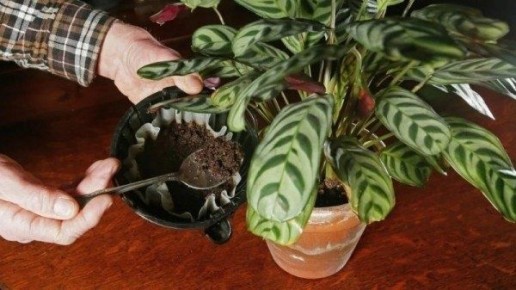 ����������� ������� ��������� �������� ��������