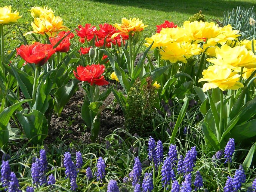 ��������� ���: ������ �� ����� �� ���������� � ���