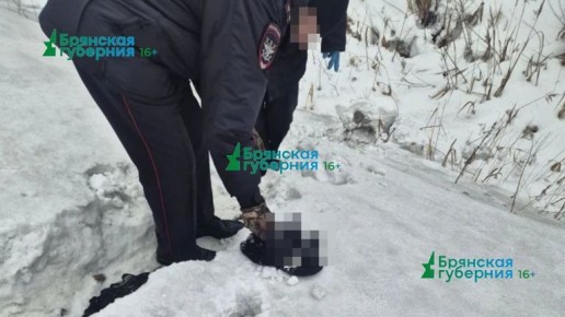 Смертельный «зацепинг»: под Брянском поезд отрезал голову 18-летнему парню