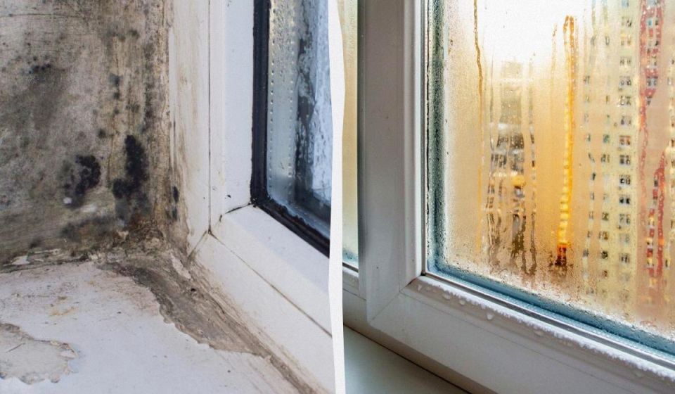 ��� ������������� ������� �����: ������� �������������, � ������� �� �� ������������