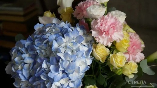 � ���� ���� ������������ ������� ������� ��������� � ����������� ����������