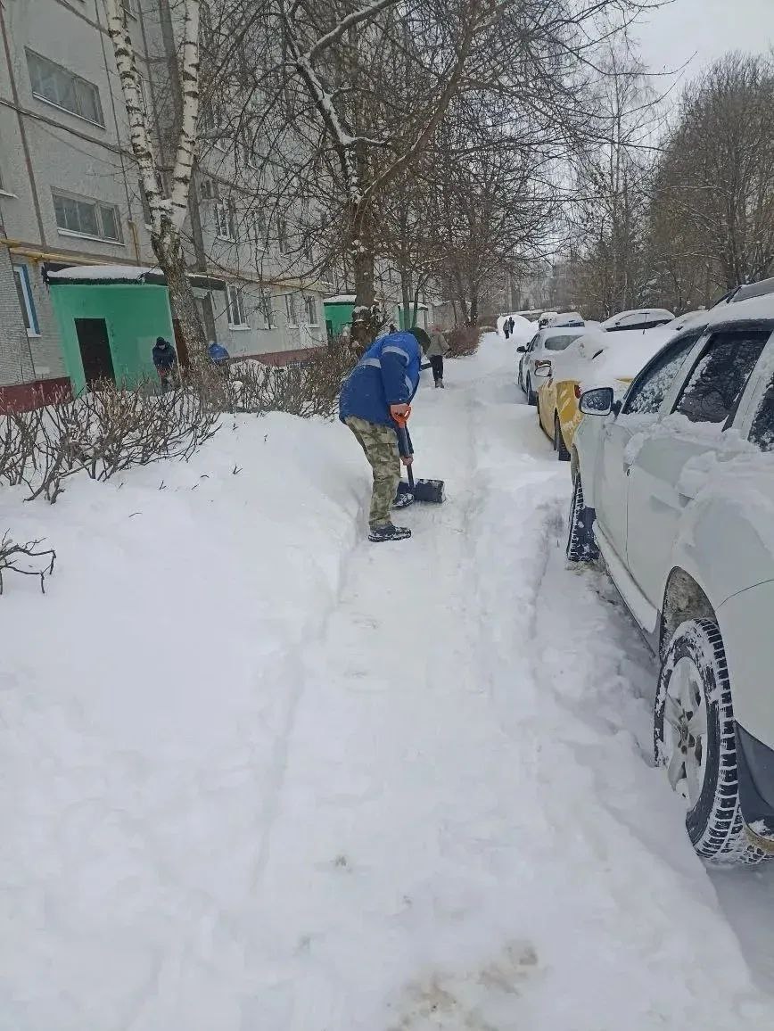 Управляющие компании присоединились к акции «Снежный десант» Управляющие компании присоединились к акции «Снежный десант»