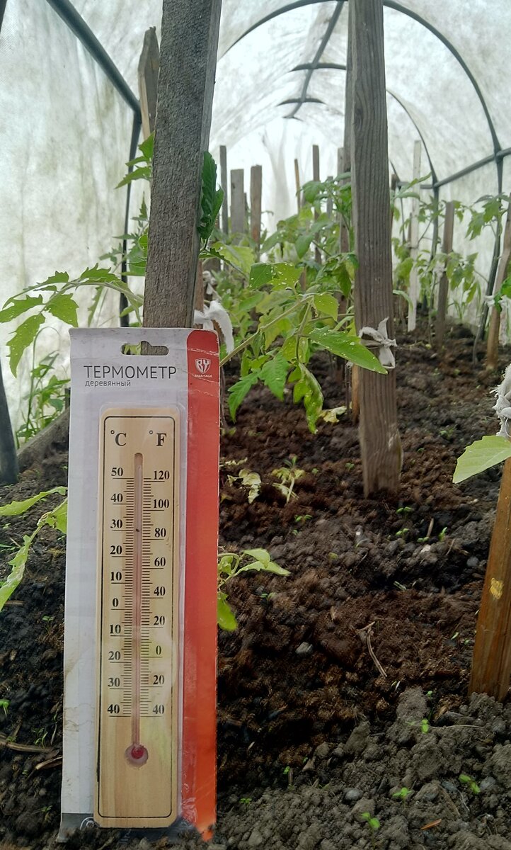 Как не упустить время на даче во время дождя