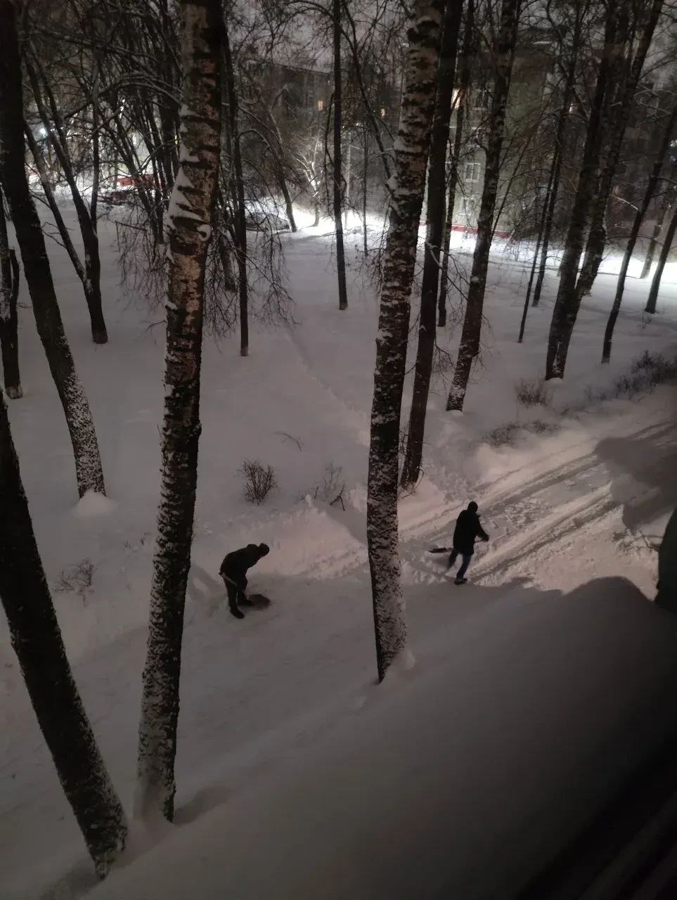 Управляющие компании присоединились к акции «Снежный десант» Управляющие компании присоединились к акции «Снежный десант»