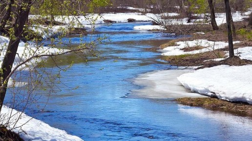 �������� ������� ���� ���������� ���������