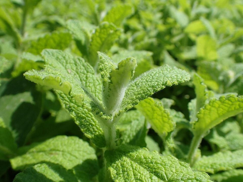 ��� ���������� ���� ��� ������ ��� ������� �� ������