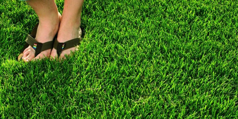 ����� ��� �������: ��������� ������� ��� ������ ����