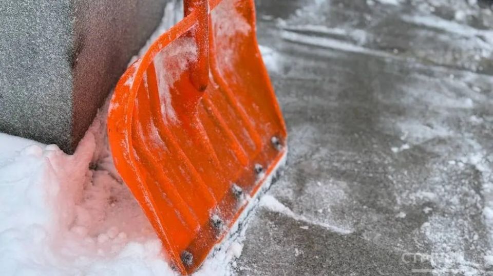 � ��� �����������, 22 �������, � ������� �� �������� ������� ��������� ������ �� ����� ���������