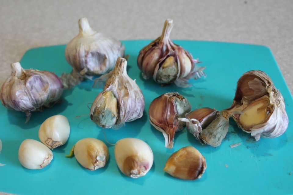 ������� ������� �� ������ � � ���������