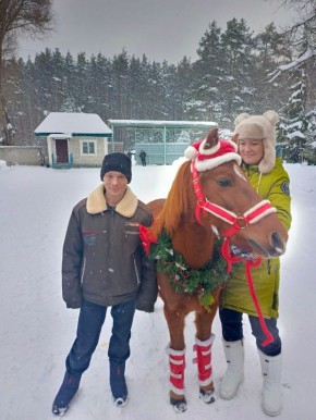 По китайскому календарю в свои права вступил год Лошади