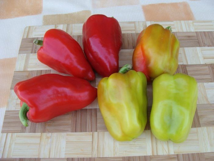 ����� ��� ��: ������ � ������������� ����, ������� ����� �����������