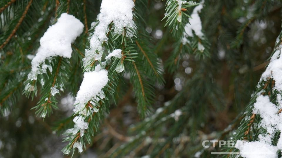 ������, 23 �������, � �������� ������� ����� �������, � ����� � ������������