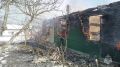 Сегодня, 23 февраля, в селе Ржаница Жуковского муниципального округа произошел пожар в частном жилом доме на улице Горького