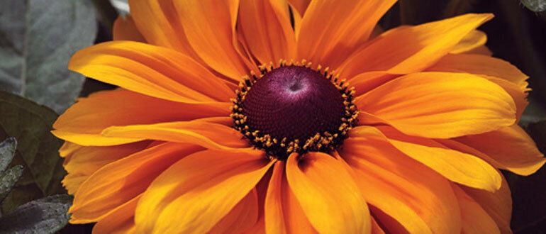 ��� �������� ��� ����� ��������: �������� � ����