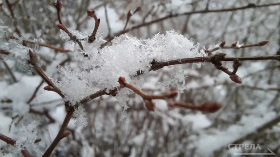 � �������� ������� ������, 25 �������, ��������� �������� ������