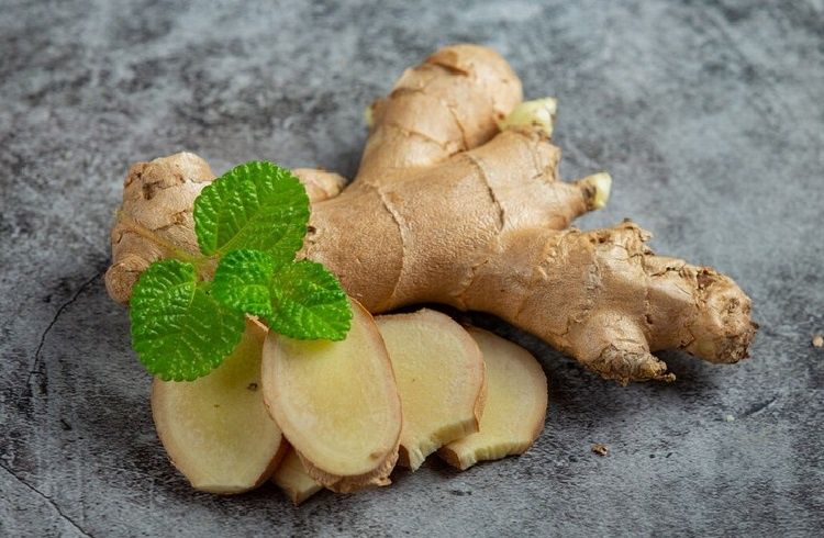 ��� ��������� ������ ������ � ���������: ������� ������