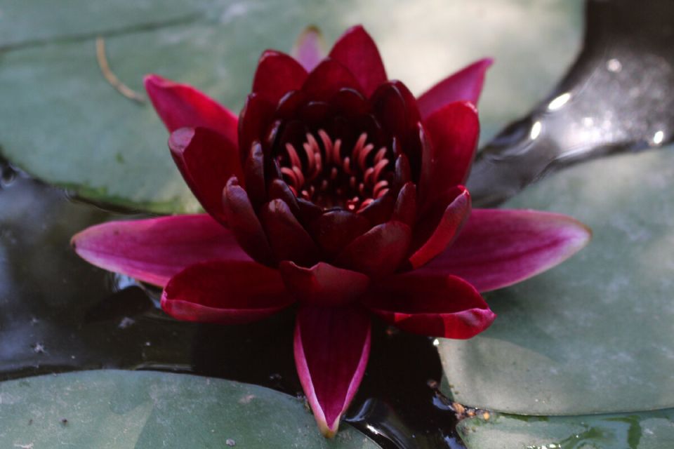 ��������� �������� ������ ������ � �����: ������� ��� ��������