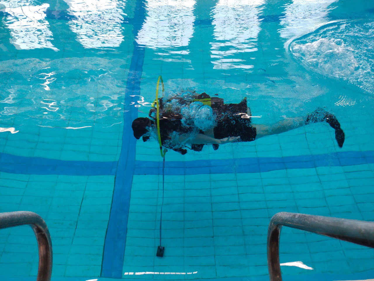 В Брянске прошли уникальные соревнования по подводному спорту В Брянске прошли уникальные соревнования по подводному спорту