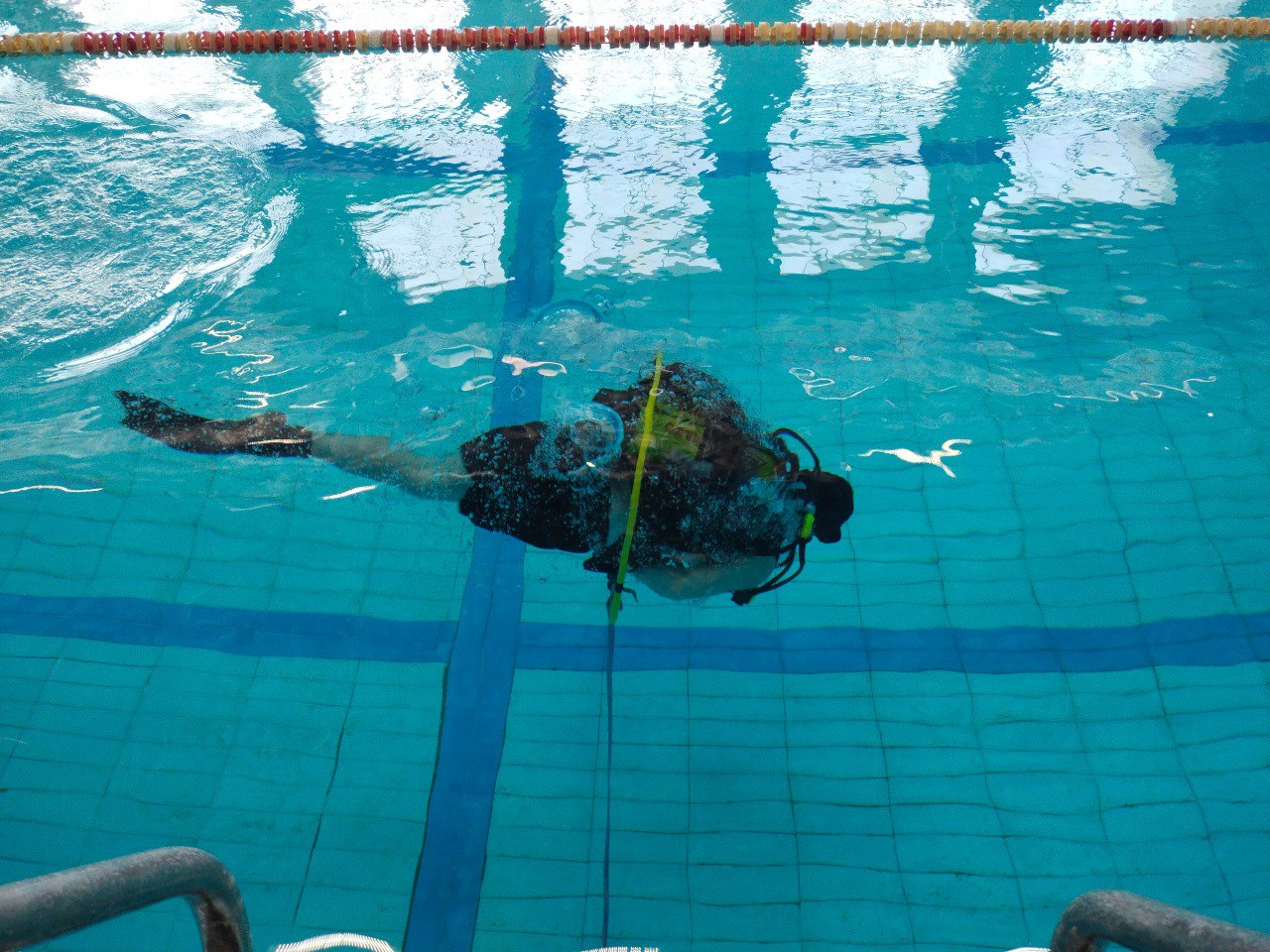 В Брянске прошли уникальные соревнования по подводному спорту В Брянске прошли уникальные соревнования по подводному спорту