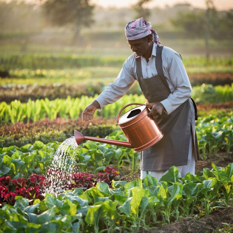 ������ ��������� ������: ��� ������� ����� ������ ����� ������ �������