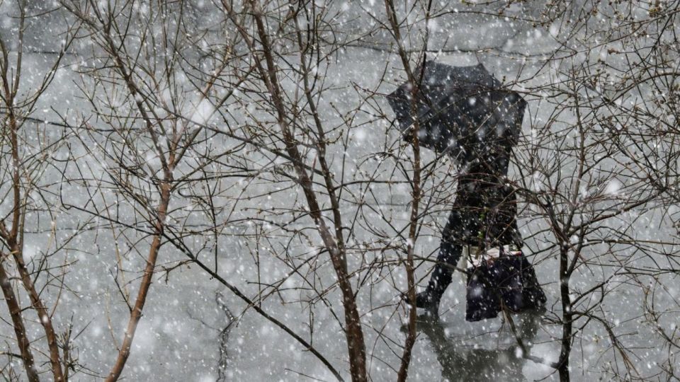 � �������� ������� ������������ ��������� ���� � ����� 26 �������