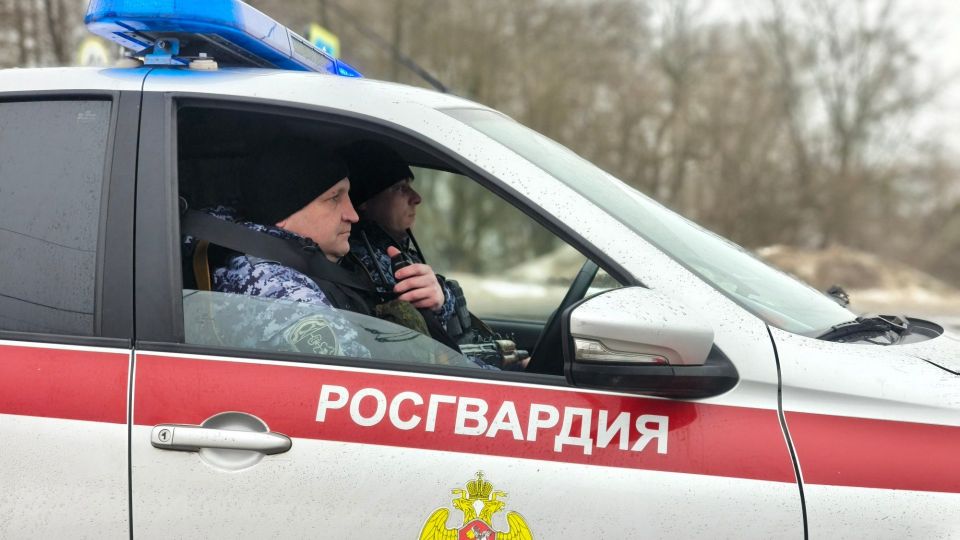 � ������� 48-������ ������� ������� ������� �������� �� �������� �� ���������