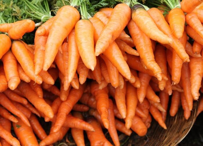 ������ ������ ��������� �� ���� ���������� �������