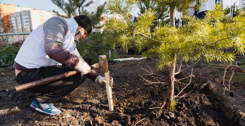 ��� ���������� ����� ������ ������ �� ����� ������ ����