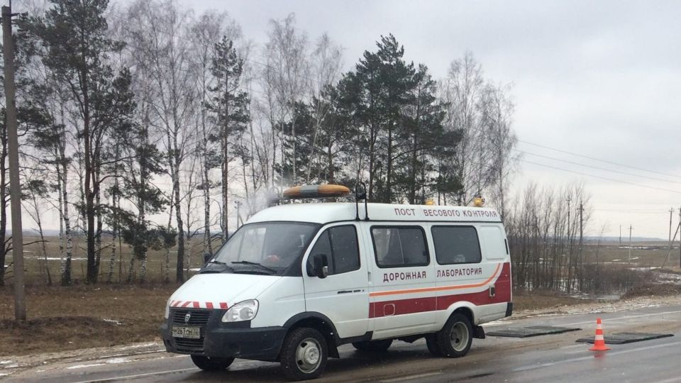 � �������� ������� � 29 ����� ������ ����������� ��� ������������