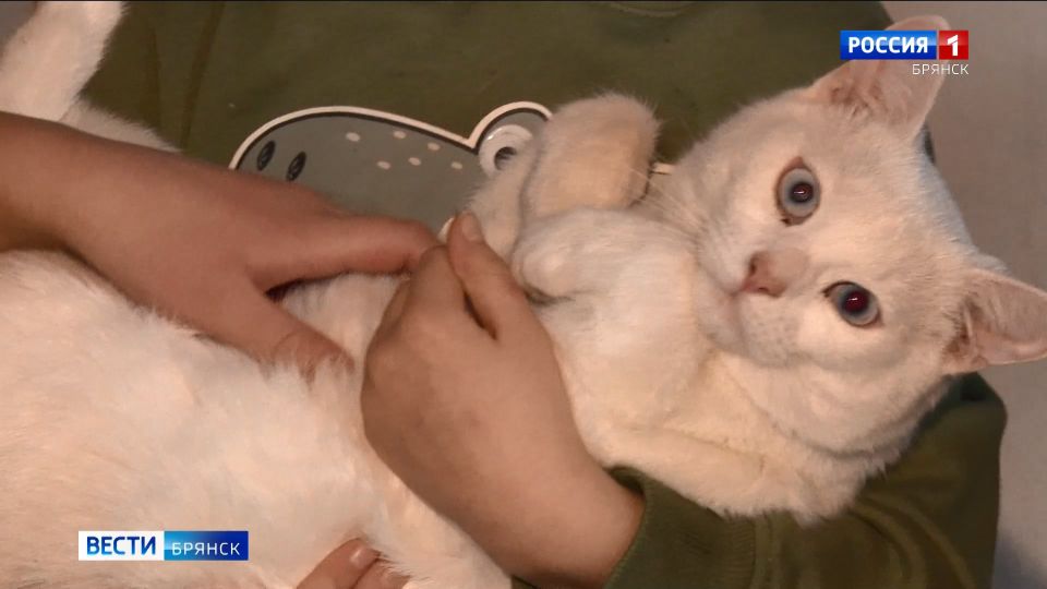 � ������� ��������� ��������� "����� �����" ������� ������� � �������� �� 15 ���