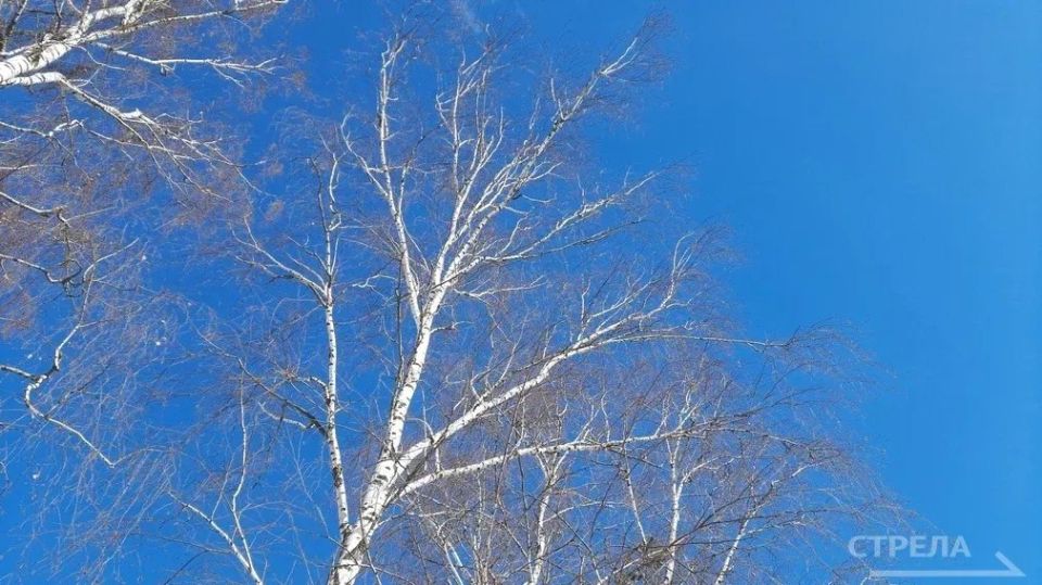 ������, 27 �������, � �������� ������� ����� ����������� �������� ������