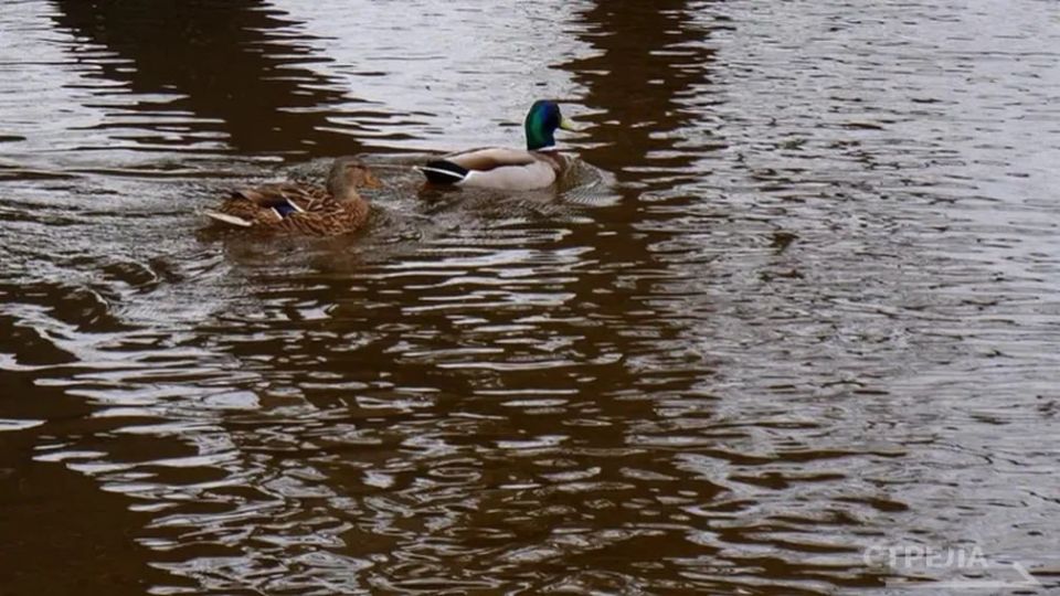 � �������� ������� ������������ � ���������� ����� �� �������� ���� ��������� � �������� ���� 28 ����� 2026 ����, �� ����������� ������������� ������, ������������, ����������, �����������, ���������� � �������� �������