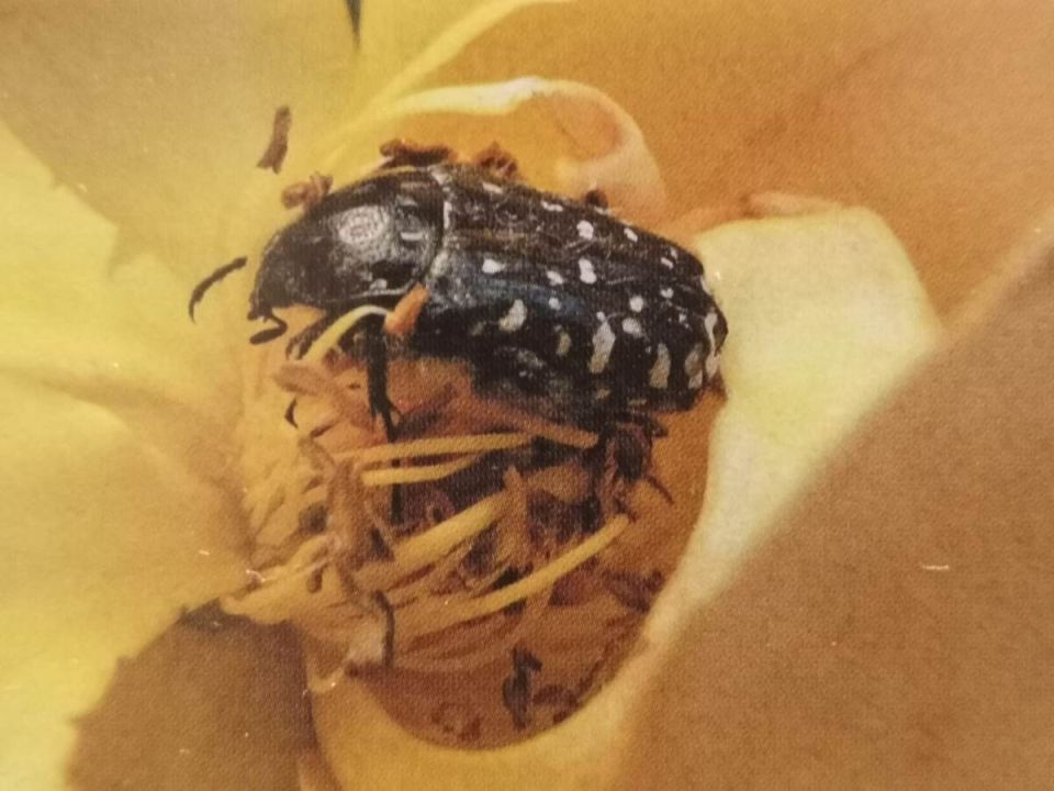 ��� �������� ��� �� ������ ��������: ������ ��� ���������